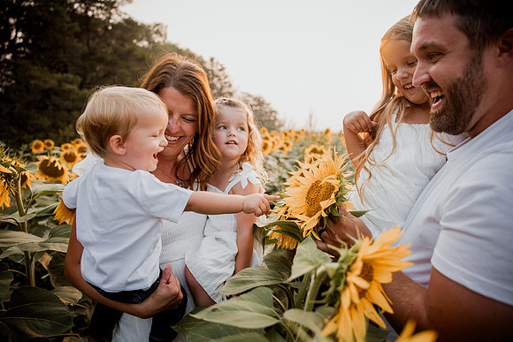 25 Foxley Sunflowers (35 of 46)