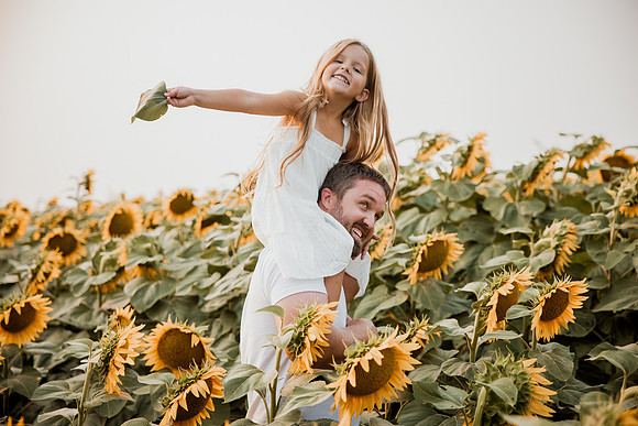 25 Foxley Sunflowers (31 of 46)