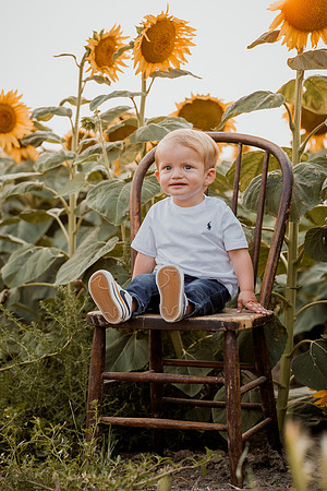 25 Foxley Sunflowers (24 of 46)