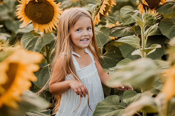 25 Foxley Sunflowers (22 of 46)