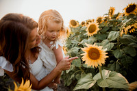 25 Foxley Sunflowers (18 of 46)