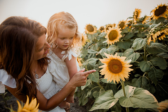 25 Foxley Sunflowers (18 of 46)