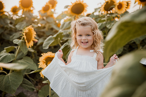 25 Foxley Sunflowers (16 of 46)