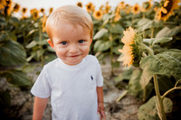 25 Foxley Sunflowers (14 of 46)
