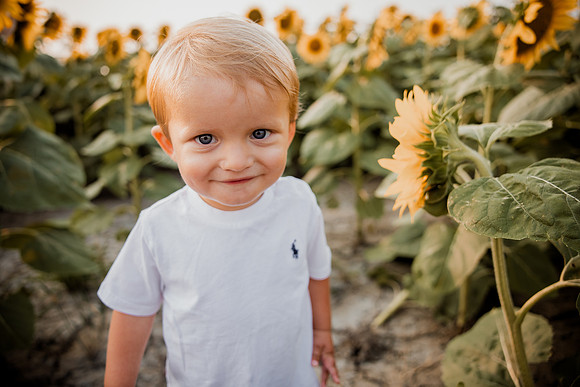 25 Foxley Sunflowers (14 of 46)