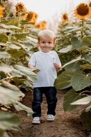 25 Foxley Sunflowers (12 of 46)