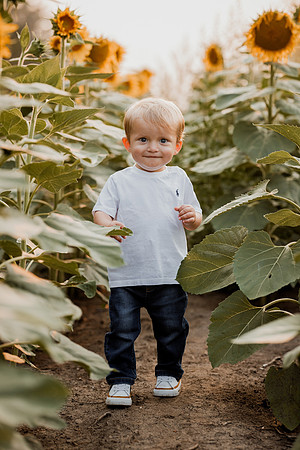 25 Foxley Sunflowers (12 of 46)