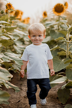 25 Foxley Sunflowers (13 of 46)