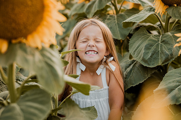 25 Foxley Sunflowers (23 of 46)