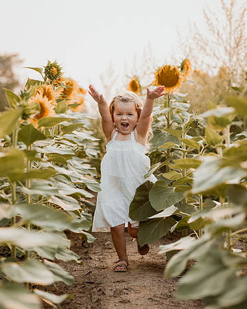 25 Foxley Sunflowers (9 of 46)