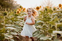 25 Foxley Sunflowers (8 of 46)