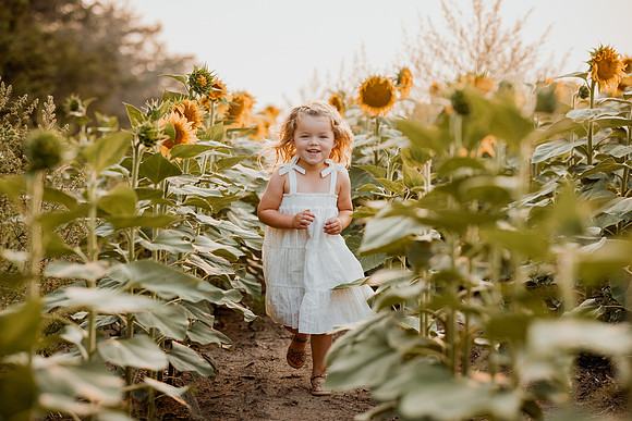 25 Foxley Sunflowers (7 of 46)