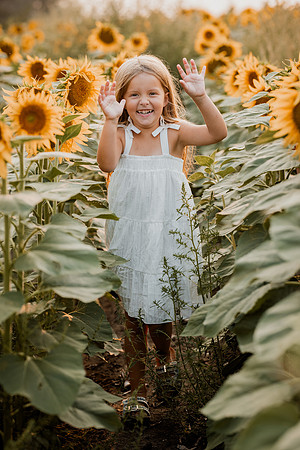 25 Foxley Sunflowers (5 of 46)