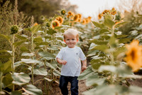 25 Foxley Sunflowers (6 of 46)