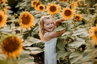 25 Foxley Sunflowers (4 of 46)