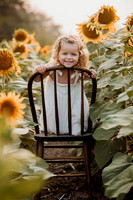 25 Foxley Sunflowers (2 of 46)