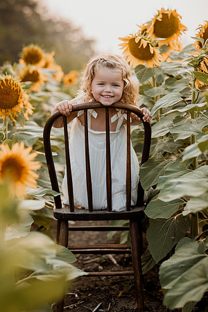 25 Foxley Sunflowers (2 of 46)