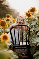 25 Foxley Sunflowers (1 of 46)