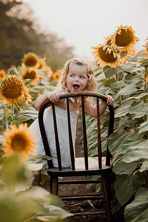 25 Foxley Sunflowers (1 of 46)