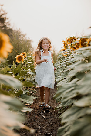 25 Foxley Sunflowers (3 of 46)