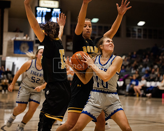 wbbDWUvDordt (62 of 86)