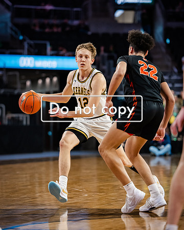 24MHSBoysBballSemis (33 of 116)