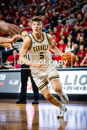 24MHSBoysBballStateChamps (98 of 178)
