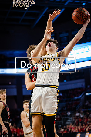 24MHSBoysBballStateChamps (96 of 178)