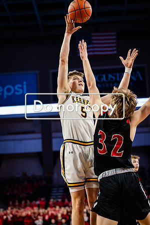 24MHSBoysBballStateChamps (86 of 178)