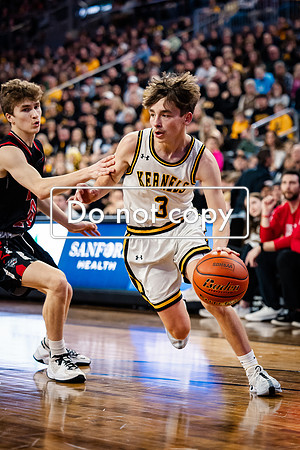 24MHSBoysBballStateChamps (62 of 178)