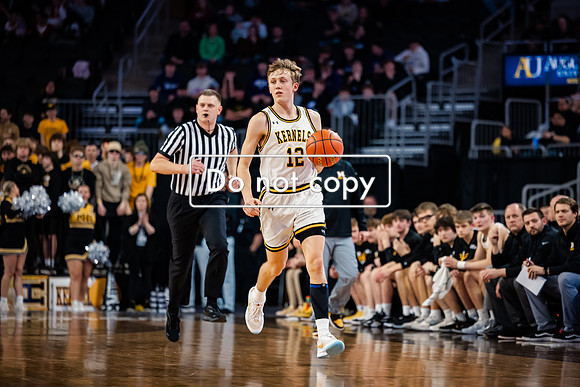24MHSBoysBballStateChamps (56 of 178)