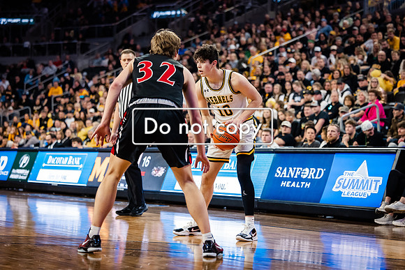 24MHSBoysBballStateChamps (59 of 178)