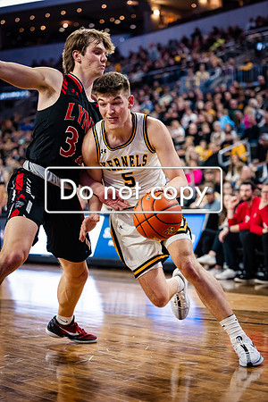 24MHSBoysBballStateChamps (50 of 178)