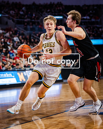 24MHSBoysBballStateChamps (37 of 178)