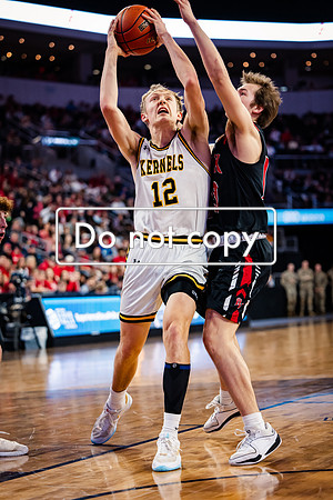 24MHSBoysBballStateChamps (38 of 178)