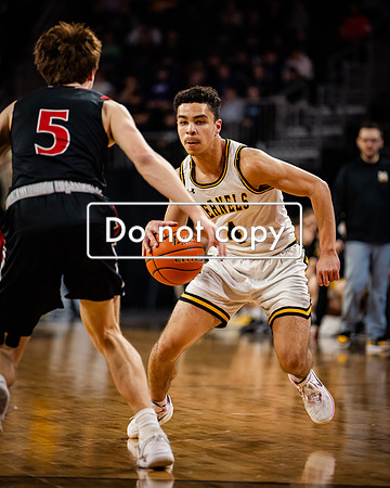 24MHSBoysBballStateChamps (28 of 178)