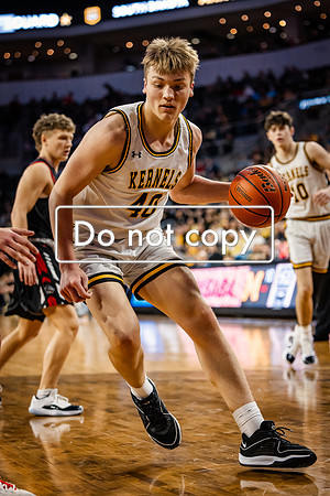 24MHSBoysBballStateChamps (32 of 178)