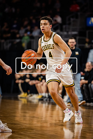 24MHSBoysBballStateChamps (27 of 178)