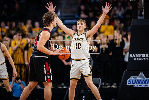 24MHSBoysBballStateChamps (26 of 178)