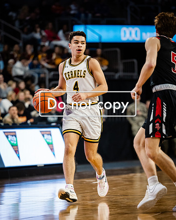 24MHSBoysBballStateChamps (20 of 178)