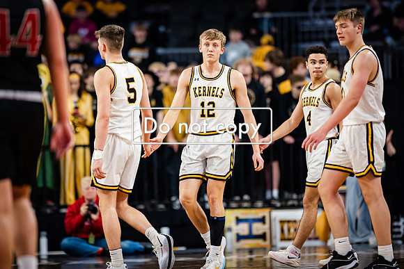 24MHSBoysBballStateChamps (17 of 178)