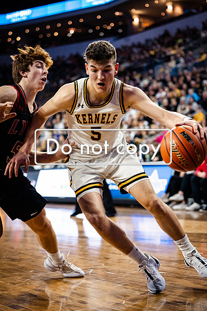 24MHSBoysBballStateChamps (21 of 178)