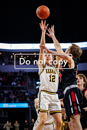 24MHSBoysBballStateChamps (13 of 178)