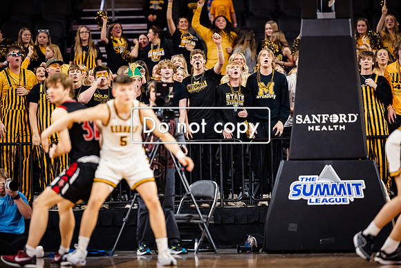 24MHSBoysBballStateChamps (2 of 178)