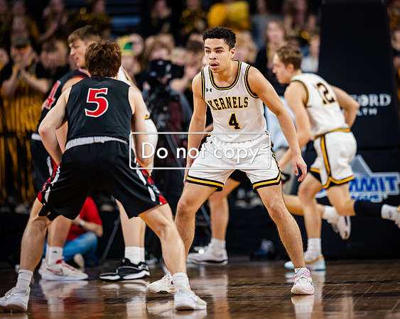 24MHSBoysBballStateChamps (3 of 178)
