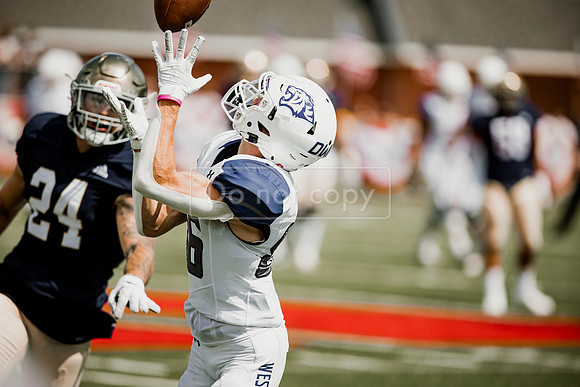 FBdwuvmmu21 (20 of 136)